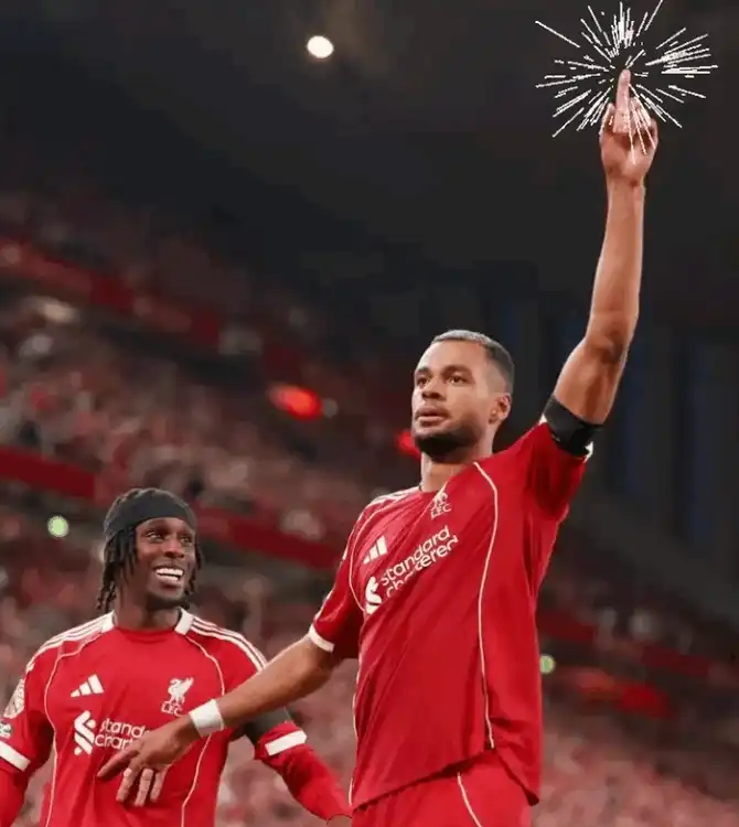 3adc859f-d47e-4b41-983a-47f9ec34d3db_670x750