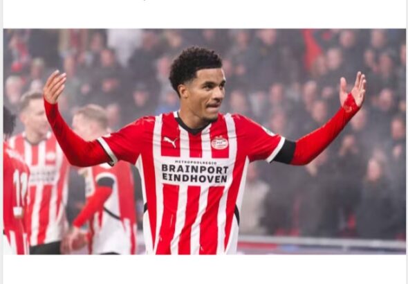 Screenshot_20260309_133553_Lite